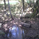 Der kleine Bach bahnt sich seinen Weg