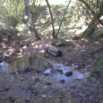 Kleine Wasserfälle prägen das Bild dieses Flusslaufs