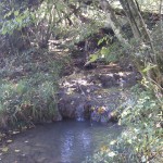 Ein kleiner Wasserfall!