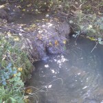 Das Wasser hat sich hier tief in den Boden gegraben.