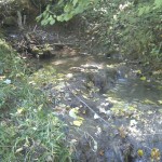 Ein kleiner Bachlauf