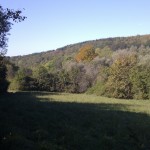 Herbstlicher Sonnenschein