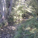 Der gleiche Bach an einer anderen Stelle