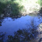 Sonnenstrahlen glitzern auf der Wasseroberfläche