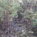 Ganz versteckt fließt auch hier Wasser