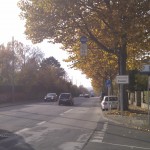 Die Bierstadter Höhe in herbstlichem Gewand