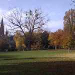 Der Park "Am Warmen Damm"