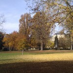 Der Park "Am Warmen Damm" und das Staatstheater