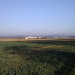 Modernes landwirtschaftliches Gebäude