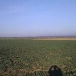 Blick über die Felder nach Kloppenheim