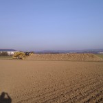 Rübenroder und aufgehäufte Rüben