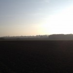 Hinter dem Schleier des Novembernebels