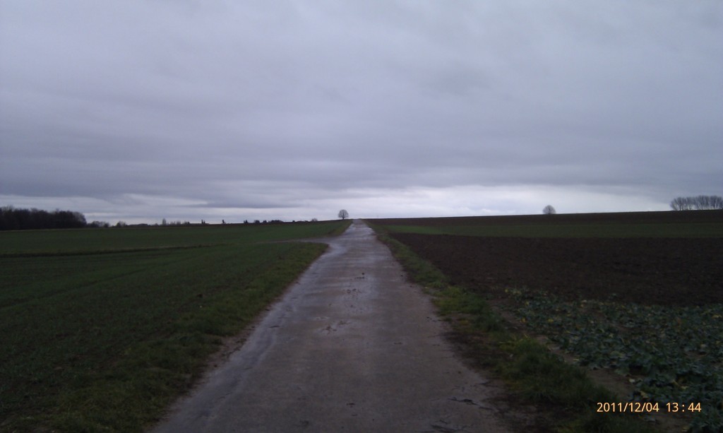 In diese Richtung liegt die Autobahn. In diese Richtung liegt die Autobahn.