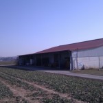 Ein landwirtschaftliches Gebäude