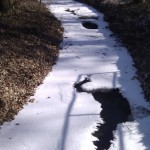 Der kleine Salzbach ist fast völlig zugefroren