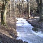 Zugefrorener Bachlauf im Kurpark