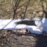 An einigen Stellen schmilzt bereits das Eis