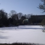 Der Kurpark-Weiher ist von einer dicken Eisschicht bedeckt
