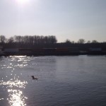 Schiff vor der Rettbergsaue