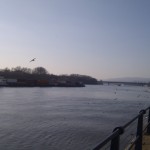 Schiff vor der Rettbergsaue