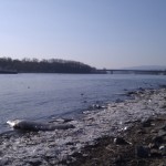 Eisschollen am Rheinstrand