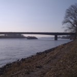 Ein Schiff unter der Schiersteiner Brücke