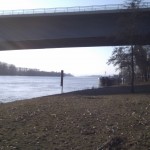 Unter der Schiersteiner Brücke