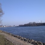 Auf der anderen Rheinseite die Rettbergsaue