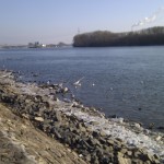 Eisschollen am Rheinufer