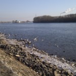 Eisschollen am Rheinufer