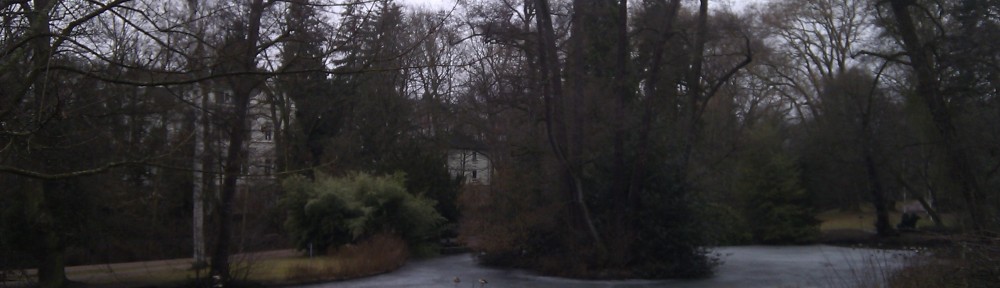 Enten auf dem Weiher im Kurpark