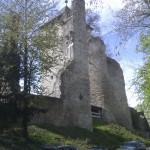 Burgruine Sonnenberg