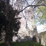 Burgruine Sonnenberg