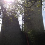Burg Sonnenberg