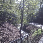 Ein kleiner Bach