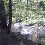Wieder der kleine Bach
