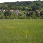 Blick über eine Wiese zum Dorf