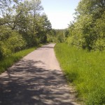 Der Weg aus dem Wald