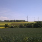 Rapsfelder und Windkraft