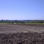 Ein brach liegendes Feld