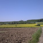 Felder weit und breit