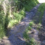 Ein Wasserlauf kreuzt die Straße