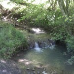 Ein kleiner Wasserfall am Wegesrand