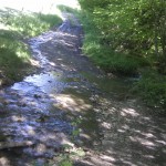 Ein Bach kreuzt die Straße