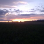 Mähdrescher im Sonnenuntergang