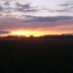 Mähdrescher im Sonnenuntergang