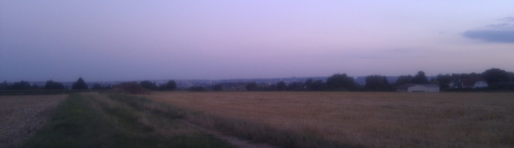 Blick Richtung Mainz