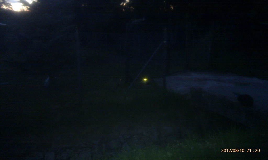 Nachts sind alle Katzen grau! Aber sie haben glühende Augen! ;-)