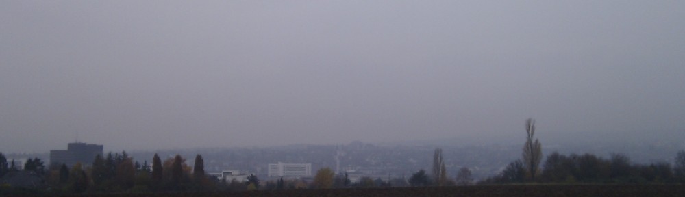 Nebelverhangener Blick in die Innenstadt